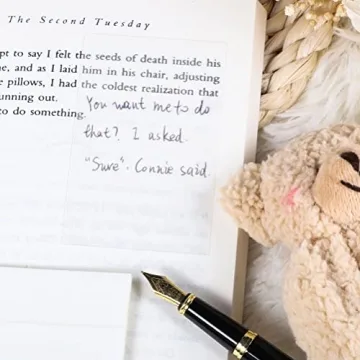 Transparent Sticky Notes Perfect for Study and Annotation