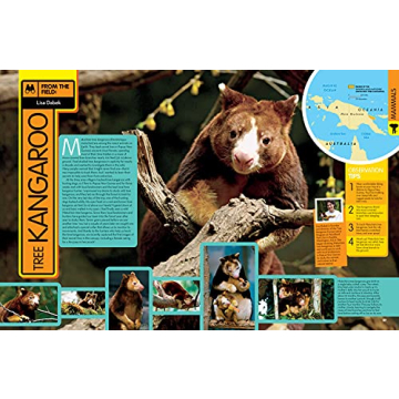National Geographic Kids Animal Encyclopedia for Curious Minds