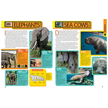 National Geographic Kids Animal Encyclopedia for Curious Minds