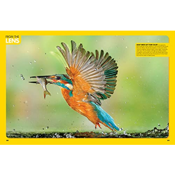 National Geographic Kids Animal Encyclopedia for Curious Minds