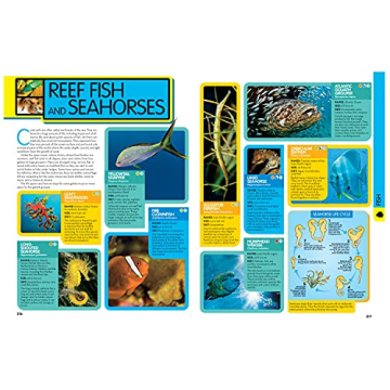 National Geographic Kids Animal Encyclopedia for Curious Minds