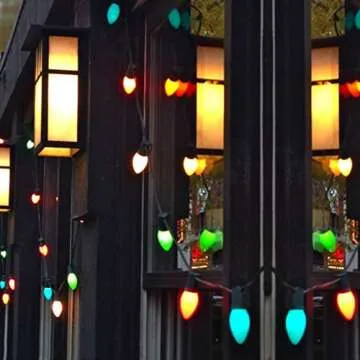 25 Pack C7 LED Multicolor Christmas Replacement Light Bulbs