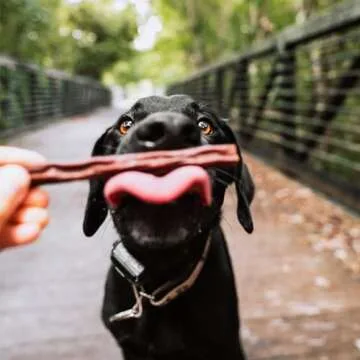 Healthy Happy Howie's Woof Stix - All Natural Dog Treats