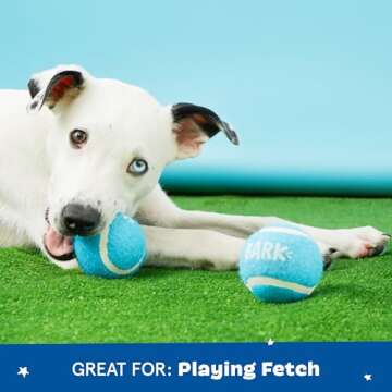 Barkbox 2 in 1 Interactive Plush Dog Toy - Rip and Reveal Toy for Dogs and Puppies - Stimulating Squeaky Pet Toys | Janspup Backpack (Large)