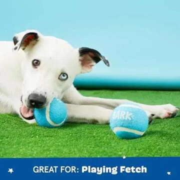 Barkbox 2 in 1 Interactive Plush Dog Toy - Rip and Reveal Toy for Dogs and Puppies - Stimulating Squeaky Pet Toys | Janspup Backpack (Large)