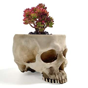 RMM Halloween Skull Head Flower Pot - Unique Bar & Home Décor