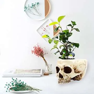 Unique RMM Skull Head Flower Pot for Halloween Decor