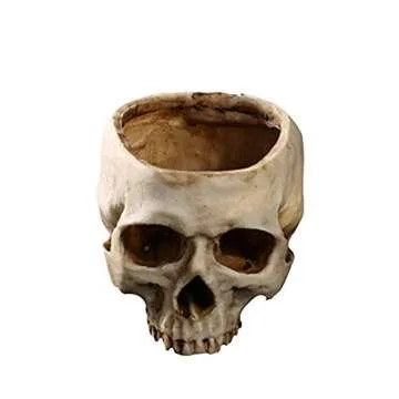 Unique RMM Skull Head Flower Pot for Halloween Decor