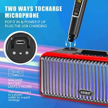 Portable Karaoke Machine with 2 Wireless Mics & LED