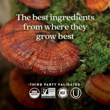 New Chapter Fermented Vitamin D3 2,000 IU, Organic, ONE Daily for Immune, Heart & Bone Support + Whole-Food Turmeric, Adaptogenic Reishi Mushroom, 100% Vegetarian, Gluten Free, 60 Count