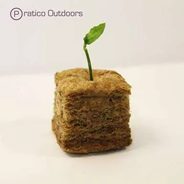 Pratico Outdoors Rockwool Grow Seed Plugs: 200 Quality Cubes