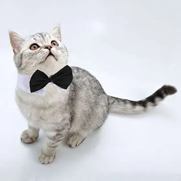 Shappy 3 Pieces Dog Cat Bow Tie Pet Costume Cat Wedding Bowtie Formal Dog Collar Adjustable Necktie Collar for Cat Small Puppy Grooming Accessories
