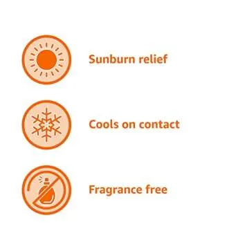 Amazon Basics Sunburn Relief Gel with Aloe Vera, 8 oz (Pack of 1) (Previously Solimo)