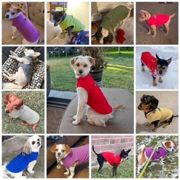 BEAUTYZOO Dog Fleece Vest Sweater Winter Jacket for Small and Medium Dogs with D-Ring Leash Cold Weather Coat Hoodie for XS S M Dogs Boy or Girls