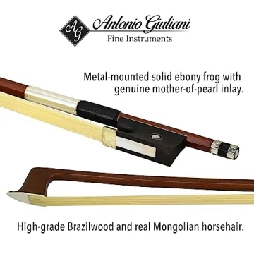 Bunnel Pupil Violin Outfit by Kennedy Violins with Case