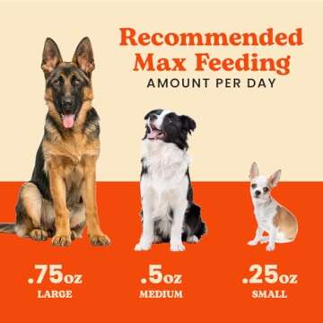 Classic Beef Jerky Minis for Dogs - Grain-Free & Natural