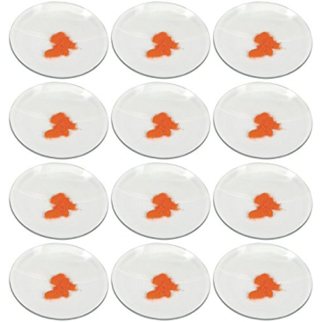 EISCO 12PK Watch Glasses - Sturdy Beaker Lids for Safe Laboratory Use