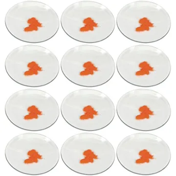 EISCO 12PK Watch Glasses - Sturdy Beaker Lids for Safe Laboratory Use