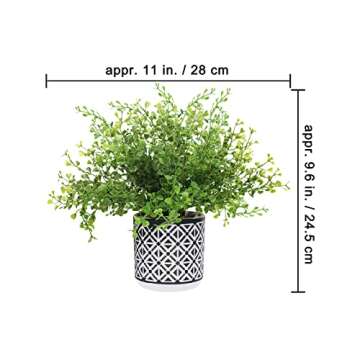 Winlyn Set of 3 Assorted Small Potted Plants Faux Eucalyptus Boxwood Plants Aloe Succulent Plant in ...