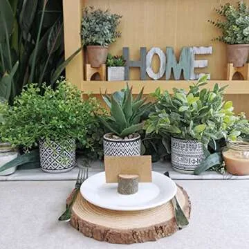 Winlyn Set of 3 Assorted Small Potted Plants Faux Eucalyptus Boxwood Plants Aloe Succulent Plant in Black and White Geometric Pots for Table Centerpiece Windowsill Shelf Indoor Outdoor Greenery Decor