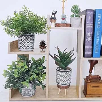 Winlyn Set of 3 Assorted Small Potted Plants Faux Eucalyptus Boxwood Plants Aloe Succulent Plant in Black and White Geometric Pots for Table Centerpiece Windowsill Shelf Indoor Outdoor Greenery Decor
