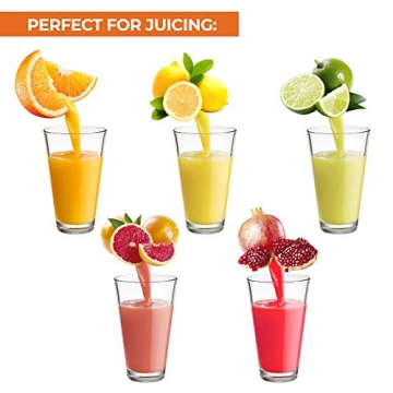 Zulay Kitchen Professional Citrus Juicer Manual Press