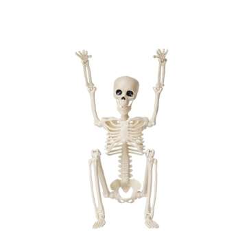 Halloween Skeletons Decorations Outdoor Indoor, 16" Posable Plastic Skeleton, Full Body Skeleton wit...