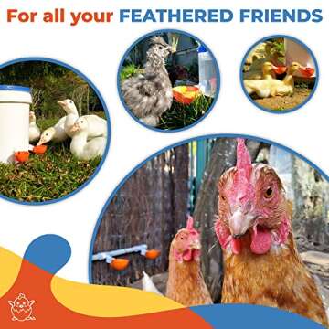 (5 Pack) Lil Clucker Large Automatic Chicken Waterer Cups | Chicken Water Feeder Suitable for Chicks, Duck, Goose, Turkey and Bunny | Poultry Water Feeder Kit (Orange)…