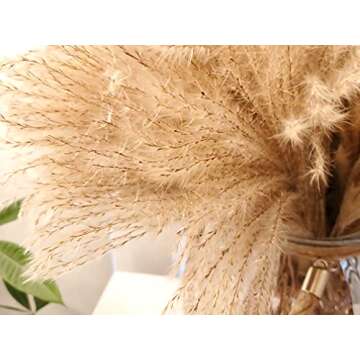 100 pcs Fluffy Dried Pampas Grass Reeds Flower, 17" Tall Non-toxic Natural Plants for Boho Wedding Bouquet Arrangements, Rustic Floral Home Decoration, Vase Filler for Living Room Decor, Christmas