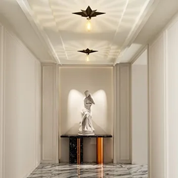 Modern FRIDEKO HOME Flush Mount Ceiling Light Fixture - 2 Pack