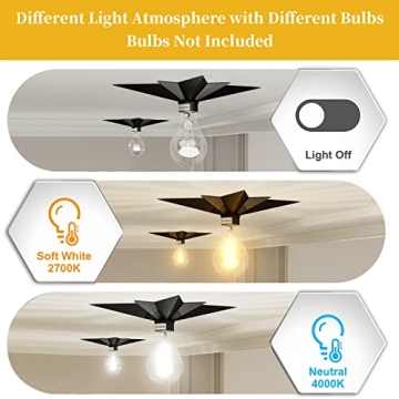 Modern FRIDEKO HOME Flush Mount Ceiling Light Fixture - 2 Pack