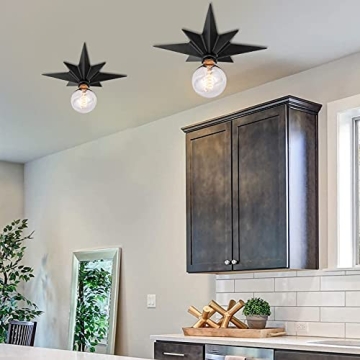 Modern FRIDEKO HOME Flush Mount Ceiling Light Fixture - 2 Pack