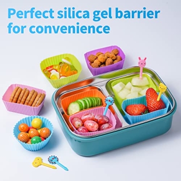 Silicone Lunch Bento Box Bundle - Fun & Versatile