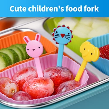 Silicone Lunch Bento Box Bundle - Fun & Versatile