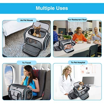 Airline Approved Soft-Sided Pet Travel Carrier