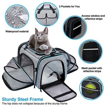 Airline Approved Soft-Sided Pet Travel Carrier