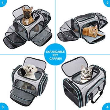 Airline Approved Soft-Sided Pet Travel Carrier