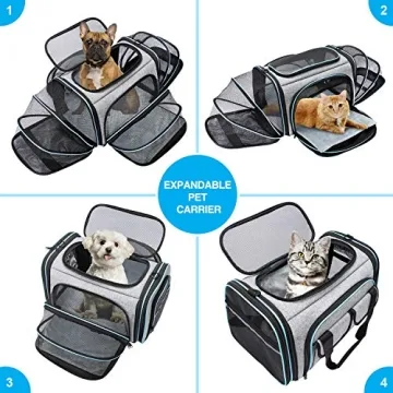 Airline Approved Soft-Sided Pet Travel Carrier