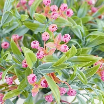 Phliofd UV Resistant Outdoor Artificial Flowers Packs