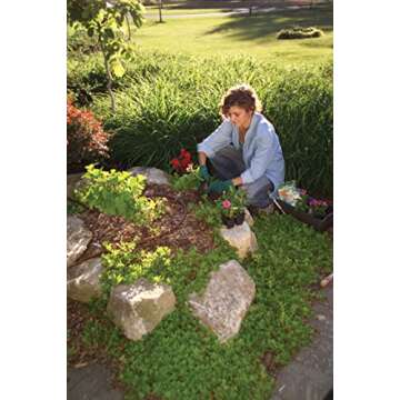 Rain Bird T63-500S Drip Irrigation 1/2" (0.634" OD) Blank Distribution Tubing, 500' Roll, Black