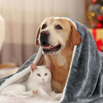 BEDELITE Sherpa Fleece Blanket - Thick Warm Blankets for Winter, Reversible Soft & Cozy Fluffy Throw Blanket for Couch and Bed (Grey, 50" X 60")