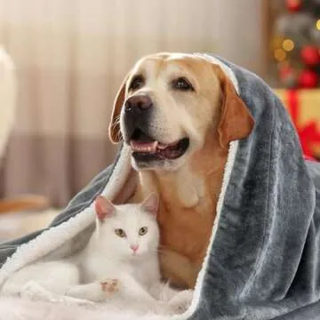 BEDELITE Sherpa Fleece Blanket - Thick Warm Blankets for Winter, Reversible Soft & Cozy Fluffy Throw Blanket for Couch and Bed (Grey, 50" X 60")