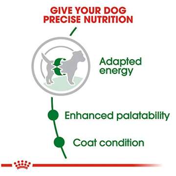 Royal Canin Small Breed Adult Dry Dog Food, 14 lb bag