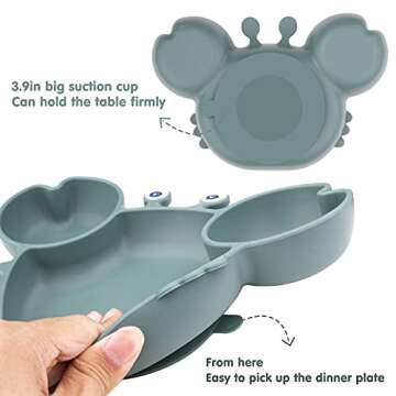Qshare Toddler Plate - BPA-Free and Strong Suction Design
