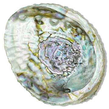 ESPOIR & AMOUR Abalone Shell with Wooden Tripod - Sustainably Harvested Premium Abalone Shell - Spiritual Abalone Shell for Smudging, Healing and Ritual with Mango Wood Stand - 4.5-5 Inches