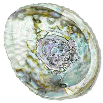 ESPOIR & AMOUR Abalone Shell with Wooden Tripod - Sustainably Harvested Premium Abalone Shell - Spiritual Abalone Shell for Smudging, Healing and Ritual with Mango Wood Stand - 4.5-5 Inches