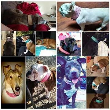 Berry Pet Rhinestones Dog Collars - 2" Width with 5- Rows Full Sparkly Crystal Diamonds Studded PU Leather - 2 Inch Wide -Beautiful Bling Pet Appearance for Large Dogs,21-24" Silver