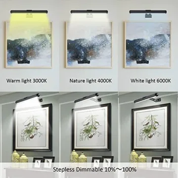 MIOBLUE Rechargeable Picture Light with Remote Control
