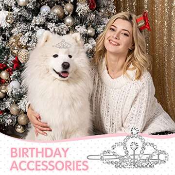 MTLEE 2 Pieces Dog Tiara Crown Hair Clips Clear Crystal Rhinestone Hair Barrettes Pet Crown Clips Puppies Barrette for Pet Dogs Grooming Costume Accessories(Silver)