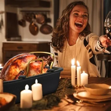 Slow Slog 17x13 Nonstick Roasting Pan for Turkey and Meats